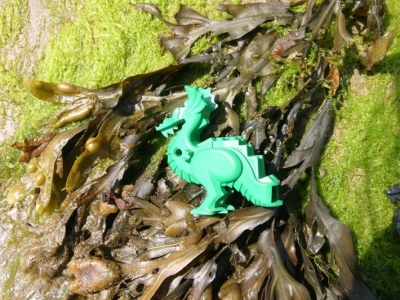 Puff the Lego dragon lives by the sea!